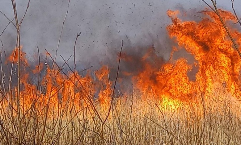 Горит болото республиканского заказника в Брестской области