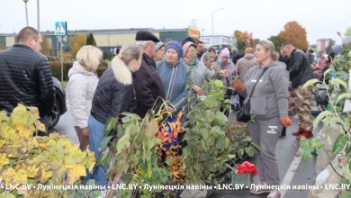 Вот такие цены! Сельскохозяйственная ярмарка развернулась в Лунинце 12 октября