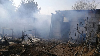 Оттуда уже пламя пошло! Спасатели тушили пожар в садовом товариществе. Видео