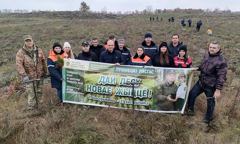 И лес садят и порядок наводят железнодорожники Лунинецкого района