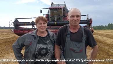 На жатве в Лунинецком районе: успехи семейных комбайнеров