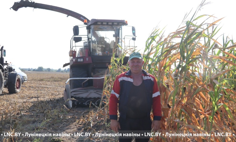 Уборка кукурузы на сілас працягваецца ў Лунінецкім раёне