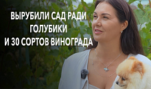 Все в шоке! Вырубили роскошный сад и посадили голубику! История, как найти гармонию   