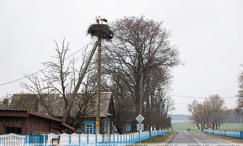 От катастрофы к устойчивому развитию. Сегодня 39-я годовщина аварии на Чернобыльской АЭС