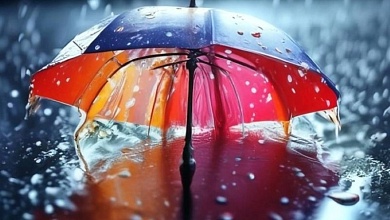 Тёплые дожди | Погода в Беларуси с 31 августа по 6 сентября