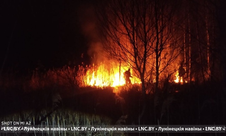 Очередной лесной пожар тушили в Лунинецком районе