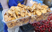 До 840 рублей! Как не попасть на штраф при сборе грибов и ягод! 