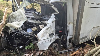 Жесткие кадры! Грузовик столкнулся с лосем в Брестской области