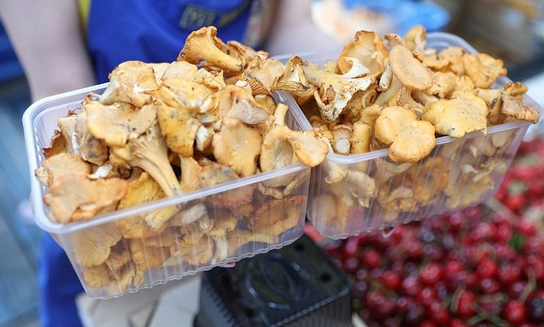 До 840 рублей! Как не попасть на штраф при сборе грибов и ягод! 