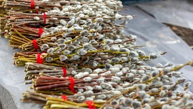 Вербное воскресенье: суть, традиции, приметы