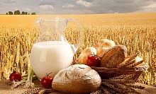 16 лістапада — Дзень работнікаў сельскай гаспадаркі і перапрацоўчай прамысловасці АПК