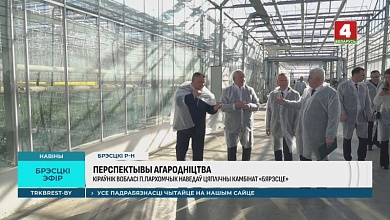 Кто поможет технологиями и что в планах построить в регионе, рассказал руководитель Брестской области 