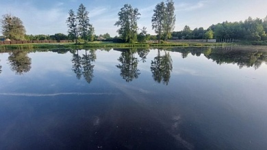 Перевернулась лодка: трех человек спасли работники МЧС | Брестская область