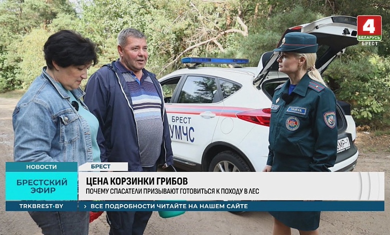 Потеряшки в лесу: почему пожилые люди — главная группа риска и как их уберечь?