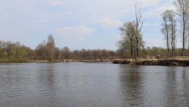 На реках Беларуси наблюдается спад уровней воды