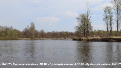 На реках Беларуси наблюдается спад уровней воды