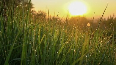 Конец лету? О погоде на неделю с 18 по 24 августа рассказал Рябов