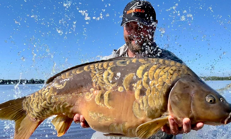 Ловля карпа стала спортом в Беларуси