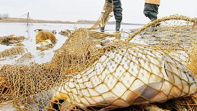 Какие нарушения природоохранного законодательства фиксировали в Лунинецком районе