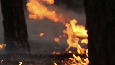 В Лунинецком районе с начала года на пожарах погибли 6 человек, из них 1 ребенок  