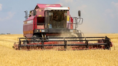 На Лунинетчине убрано более половины площадей озимого ячменя