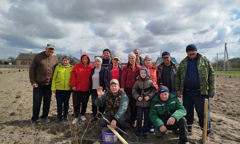 Жителями Дребска заложен парк в честь Великой Победы