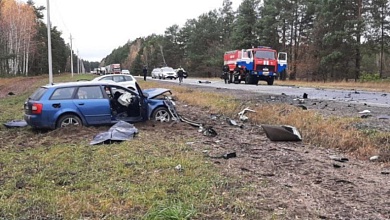 В лобовом ДТП погиб водитель легковушки в Калинковичском районе