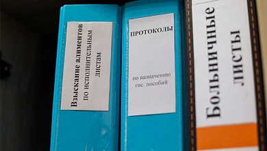Более 47 тыс. рублей пособия по потере кормильца взыскали с жителя Брестской области