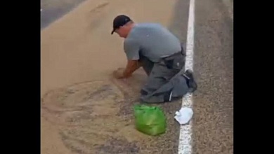 Водитель просыпал зерно. Прокуратура установила факт через соцсети