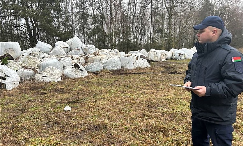 Списали почти 100 тонн испорченного сенажа. Возбуждено уголовное дело