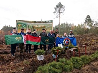 Все больше лунинчан присоединяется к республиканской добровольной акции «Дай лесу новае жыццё!»