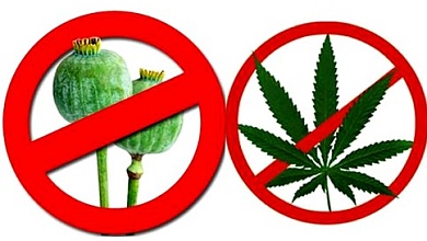 На Лунинетчине стартует специальная программа «Мак»