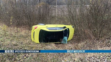 ДТП на Брестчине, в котором благодаря ремням безопасности водитель и ее 10-летняя пассажир не пострадали