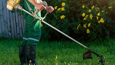 Линейка для травы: ﻿новые правила по благоустройству