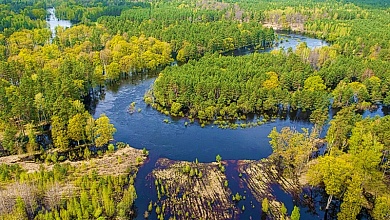 Экология Лунинетчины: маленькие шаги к большой планете