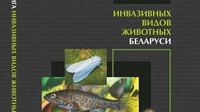 Кого внесли в «Черную книгу» Республики Беларуси? 