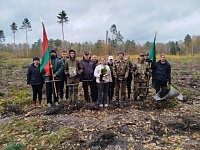 Лес высадила молодёжь Лунинецкого ЖКХ