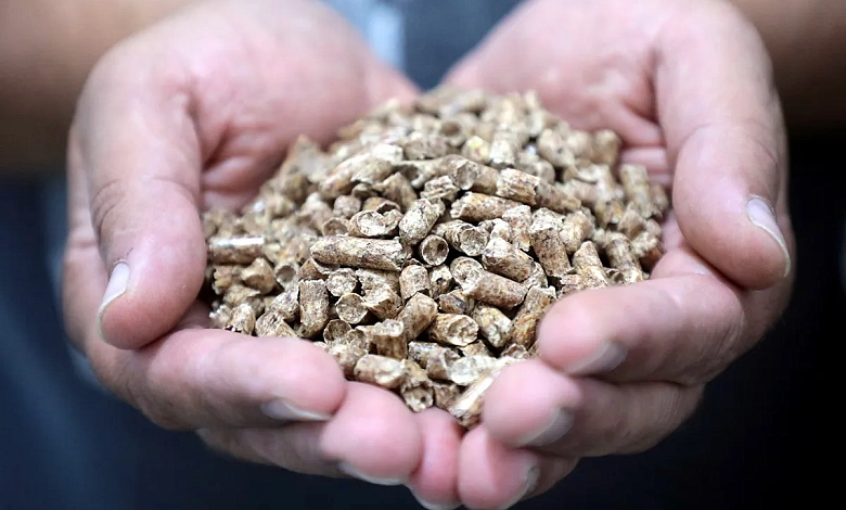 Пеллетный кризис в Польше: топливо исчезает с рынка, цены взлетают