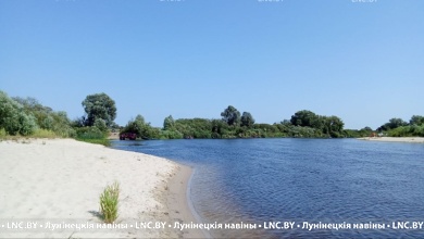 Спад уровня воды наблюдается на Припяти. Ситуация на реках Беларуси