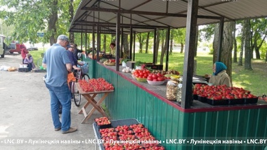 Цены на клубнику в Лунинецком районе: начал работу оптовый рынок