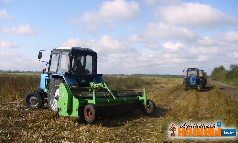 Бульбяныя клопаты