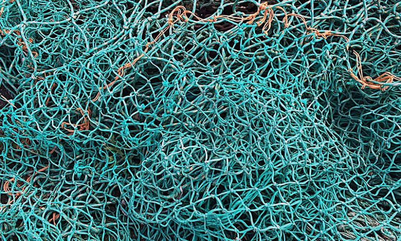 Добровольно сдавших сети рыбаков освободят от ответственности