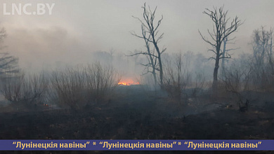 В Синкевичском лесничестве ликвидировали пожар