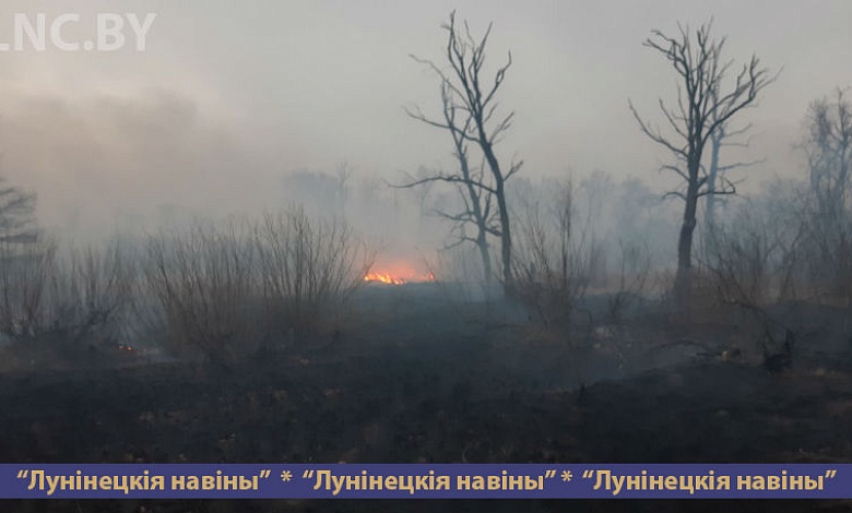 В Синкевичском лесничестве ликвидировали пожар