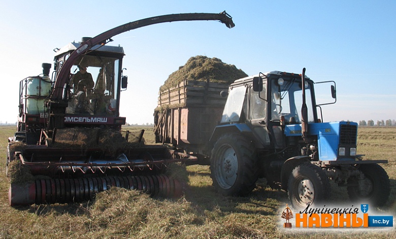 Лішняга корму не бывае