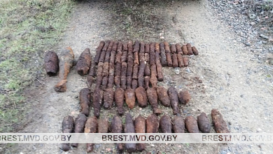 В Пинском районе обнаружено более 100 снарядов