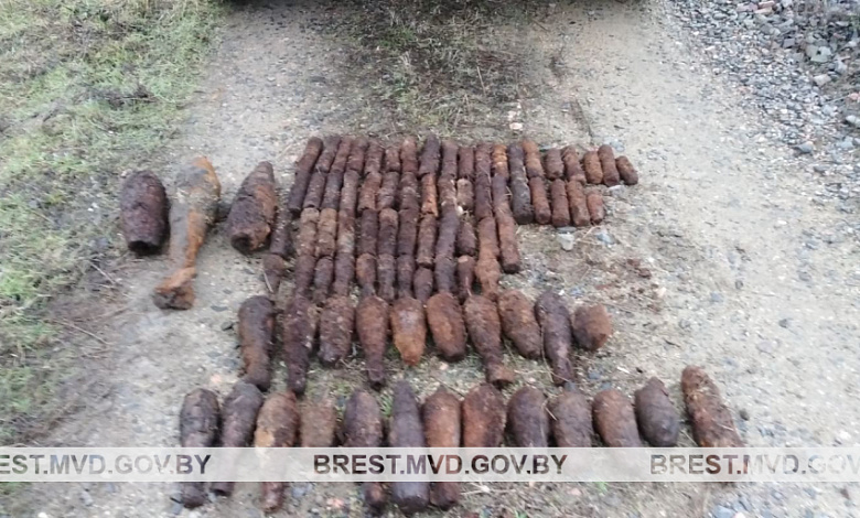 В Пинском районе обнаружено более 100 снарядов
