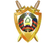 Порядок организации и проведения массовых мероприятий регламентируется Законом Республики Беларусь