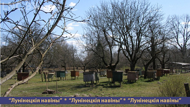 Пчеловодство стало увлечением и работой для жителя Гряды Ивана Мацкевича