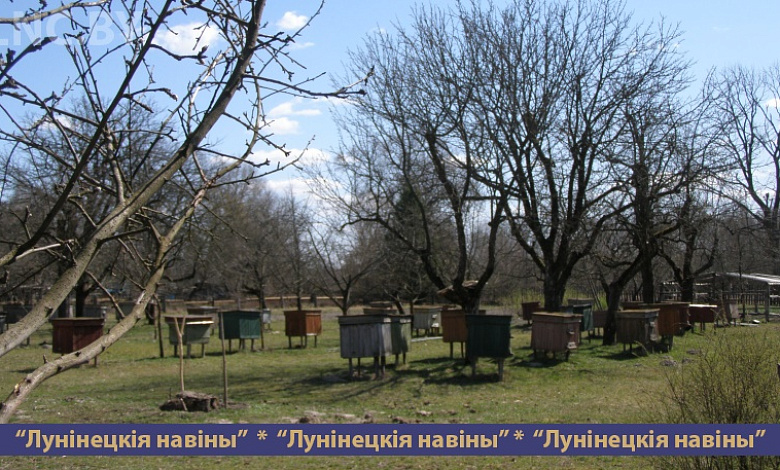 Пчеловодство стало увлечением и работой для жителя Гряды Ивана Мацкевича